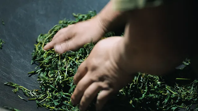 精湛工艺